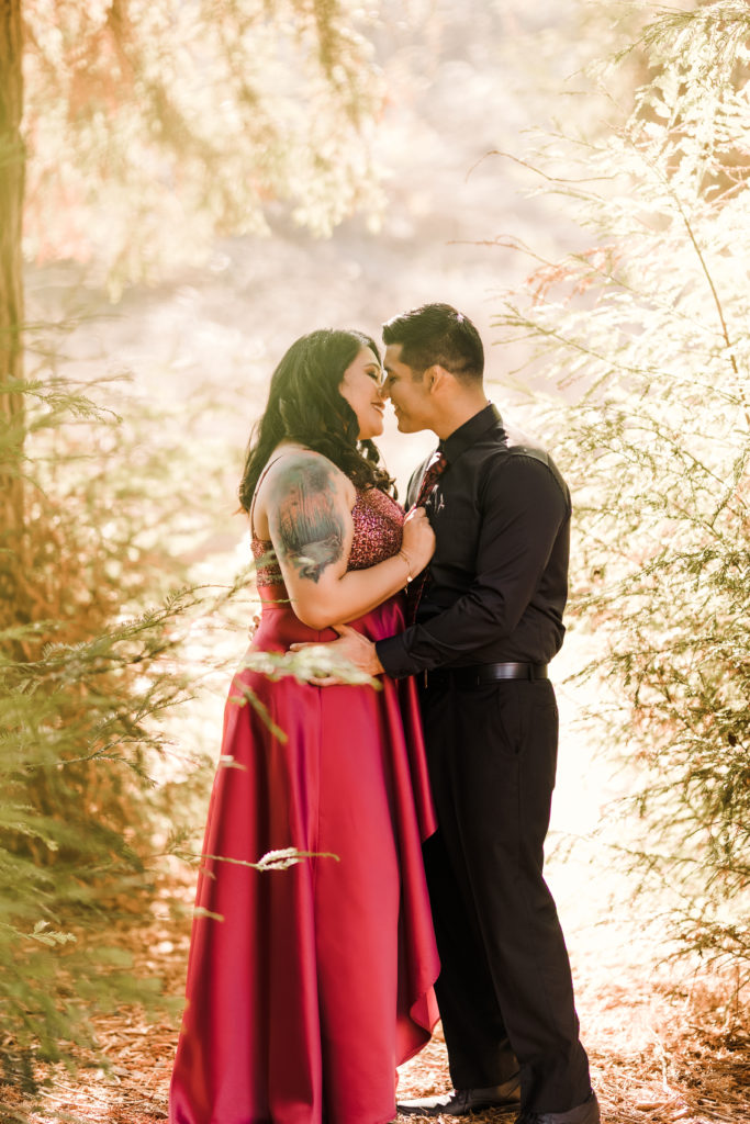 Carbon Canyon Regional Park Engagement Photography Session by William J Saylor Photography