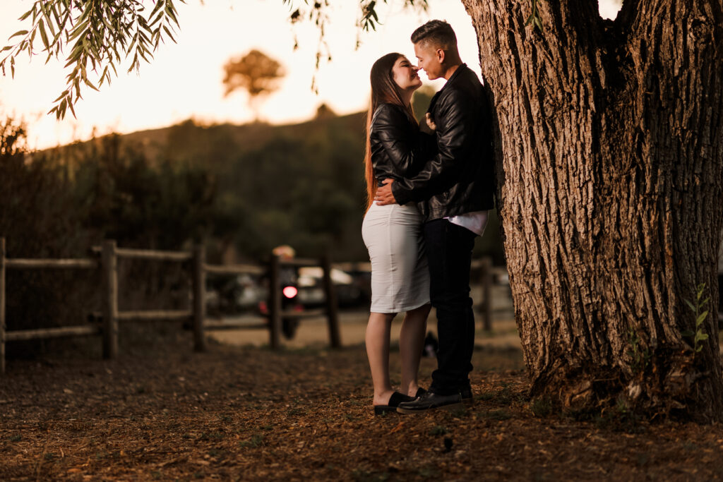 Carbon Canyon Engagement session at the Redwood forest